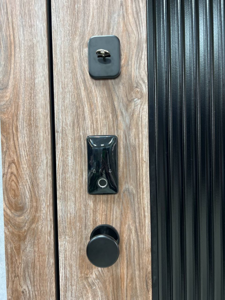 ТЕЙЯ (ЭЛЕКТРОННЫЙ ЗАМОК)