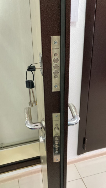 ДЕЛЬТА БЕЛЕНЫЙ ДУБ